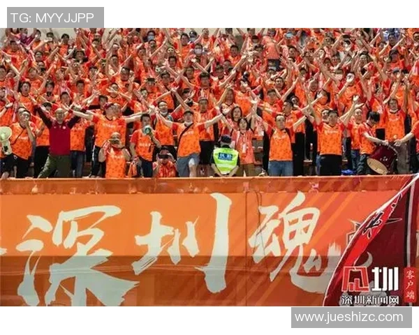 深圳排球队速度之争引发热议球迷与专家各执己见